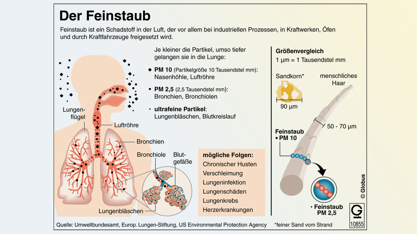 Infografik Auswirkung des Feinstaubs auf die Atmung