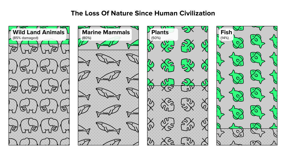 Der Mensch hat den Verlust von rund 80 Prozent der wilden Land- und Meeressäuger und der Hälfte...