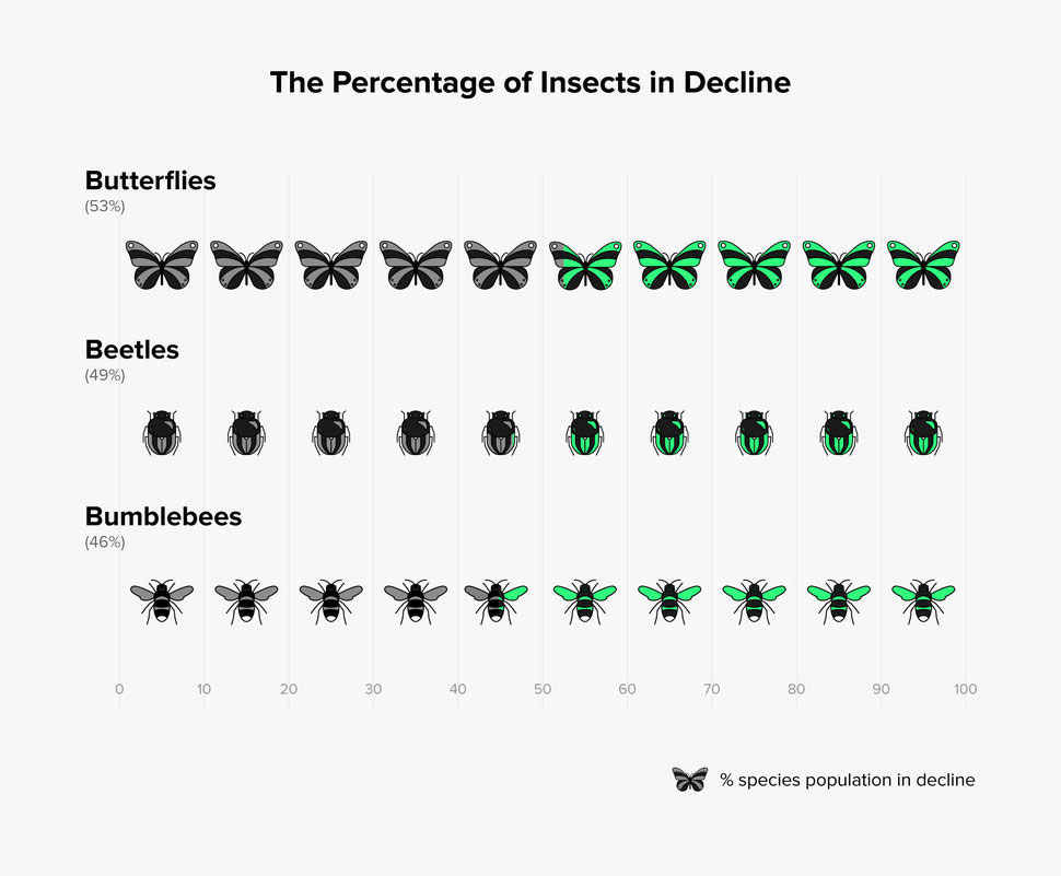 Eine Auswertung der in den vergangenen Jahrzehnten durchgeführten Insektenstudien ergab, dass 41...